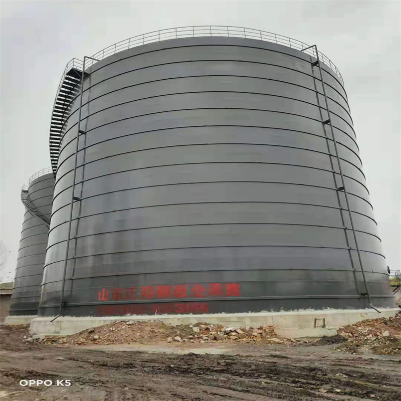 扶绥3万吨大型钢板库