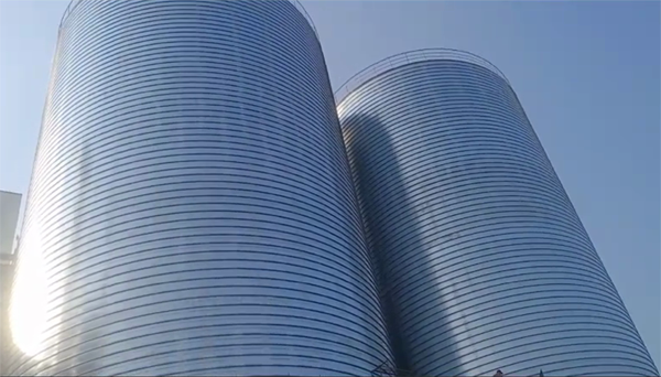 扶绥2座混凝土高架卷板仓